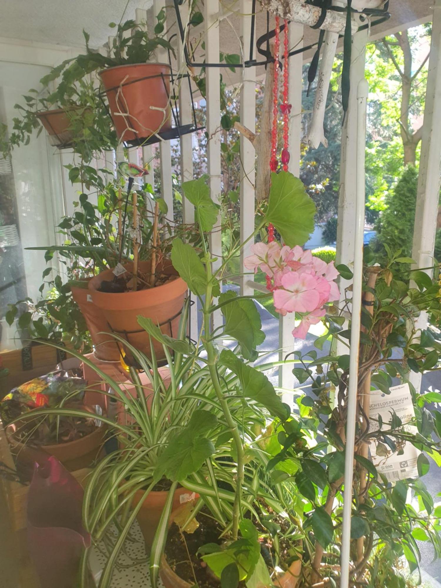 Апартаменти Libros Y Plantas A 5 Minutos Del Centro En Bus Мадрид Екстер'єр фото